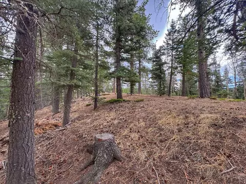 132 Aspen Acres, Rye, CO 81252 photo 14