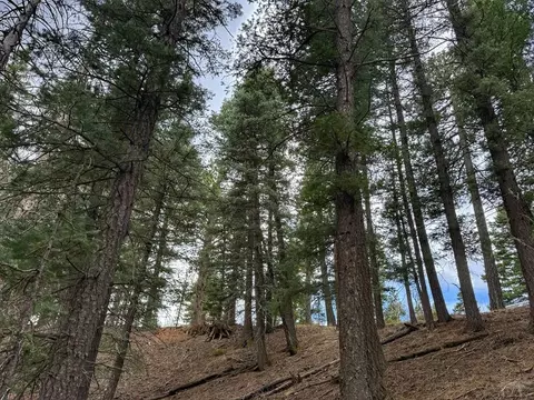 132 Aspen Acres, Rye, CO 81252 photo 6