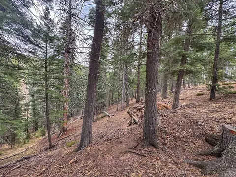 132 Aspen Acres, Rye, CO 81252 photo 13