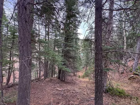 132 Aspen Acres, Rye, CO 81252 photo 12