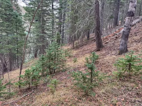 132 Aspen Acres, Rye, CO 81252 photo 10