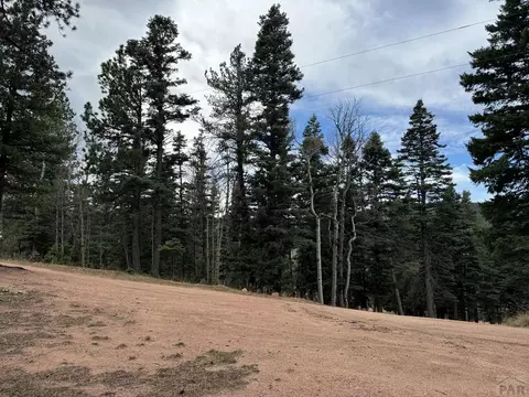 132 Aspen Acres, Rye, CO 81252 photo 4