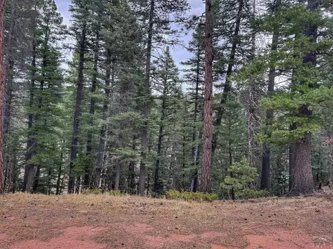 132 Aspen Acres, Rye, CO 81252 photo 7