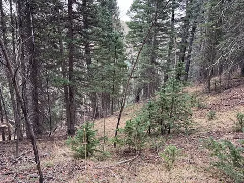 132 Aspen Acres, Rye, CO 81252 photo 5