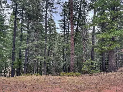 132 Aspen Acres, Rye, CO 81252 photo 3