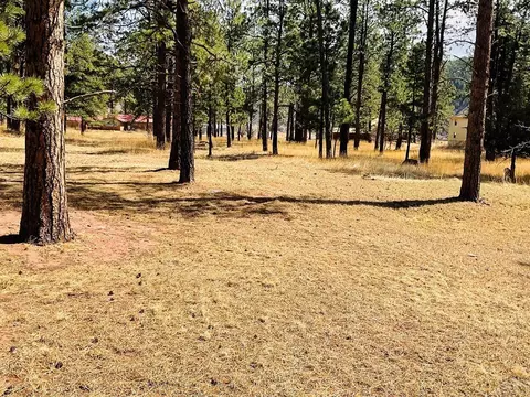 Undisclosed, Stonewall, CO 81091