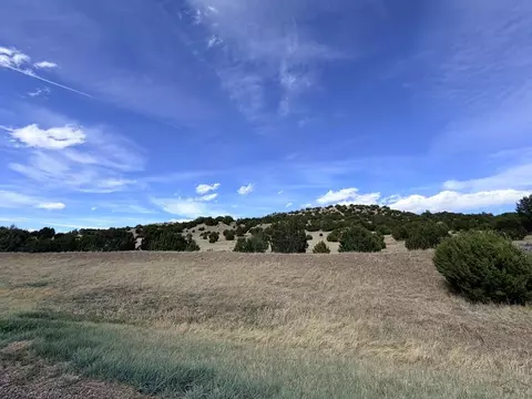 tbd Cedar Grove Rd, Beulah, CO 81023 photo 3