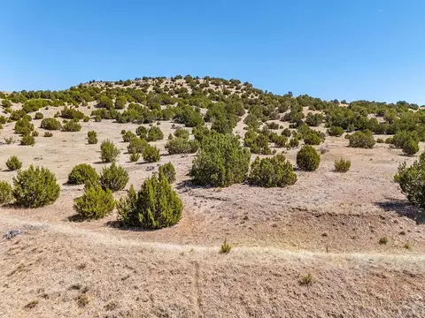 tbd Cedar Grove Rd, Beulah, CO 81023 photo 12