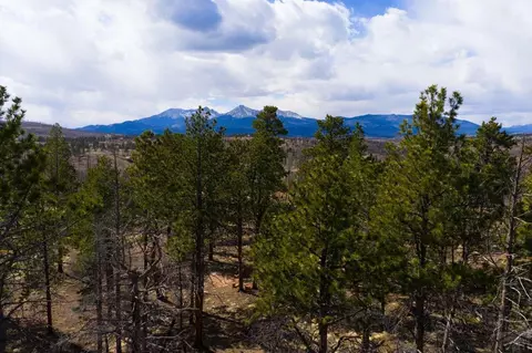 lot758 Forbes Pk, Fort Garland, CO 81133