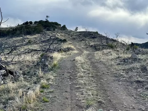 Tr39 & 67 H Path, Cotopaxi, CO 81223 photo 3