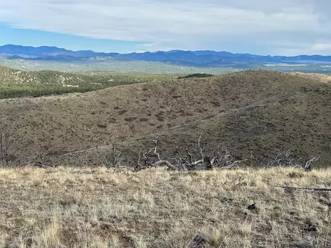 Tr39 & 67 H Path, Cotopaxi, CO 81223