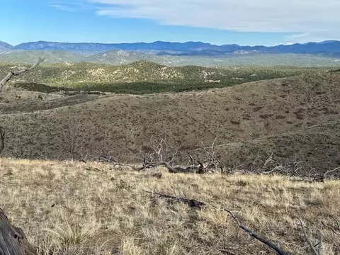 Tr39 & 67 H Path, Cotopaxi, CO 81223 photo 5