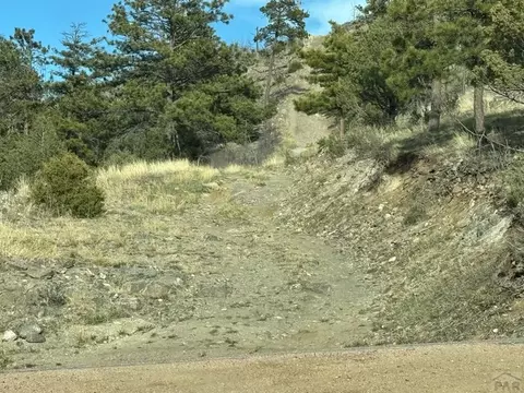 Tr39 & 67 H Path, Cotopaxi, CO 81223 photo 11