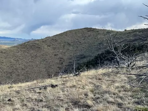 Tr39 & 67 H Path, Cotopaxi, CO 81223 photo 2