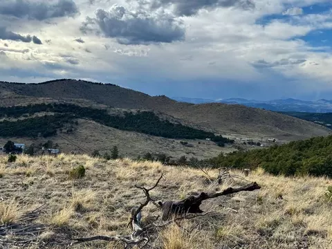 Tr39 & 67 H Path, Cotopaxi, CO 81223 photo 9