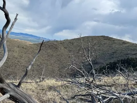 Tr39 & 67 H Path, Cotopaxi, CO 81223 photo 4