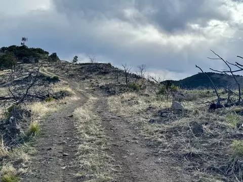 Tr39 & 67 H Path, Cotopaxi, CO 81223 photo 8