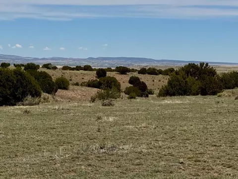 tbd 2 Ranch Rd, Florence, CO 81226 photo 14