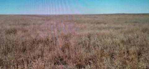 R41 T26 S17 County Rd 35, Holly, CO 81047