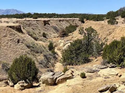 Tr 66 County Rd 521, Walsenburg, CO 81089