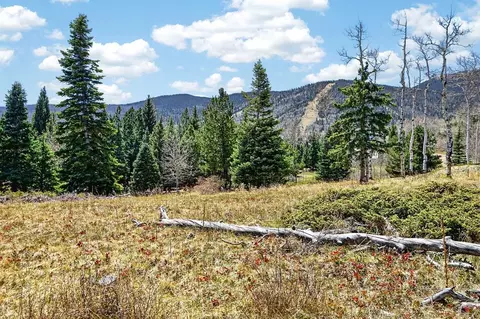 tbd Panadero Loop, Cuchara, CO 81055 photo 9
