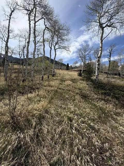 36 Baker Creek Ct, Cuchara, CO 81055
