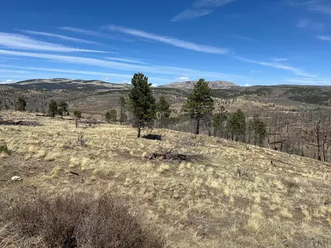 lot184 Forbes Pk, Fort Garland, CO 81133