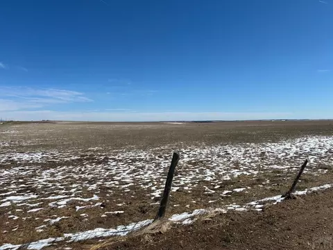 tbd Pickney Rd, Rye, CO 81069 photo 4