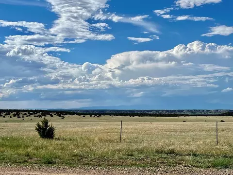 5897 Amanda Ln, Rye, CO 81069 photo 3