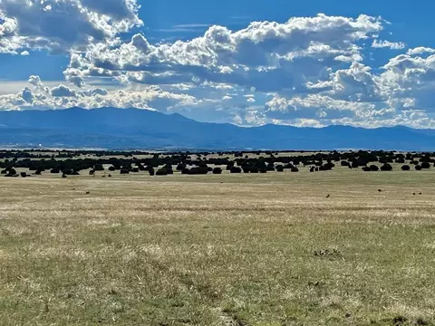 5897 Amanda Ln, Rye, CO 81069 photo 5