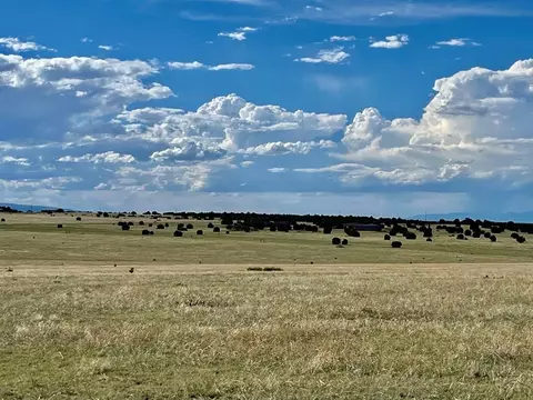 5897 Amanda Ln, Rye, CO 81069 photo 9