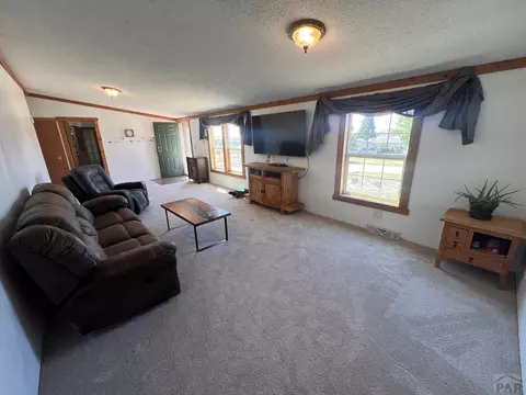 Living - 7937 Mount Baldy Dr, Rye, CO 81069 photo 1 of 2