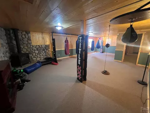 Other - 7937 Mount Baldy Dr, Rye, CO 81069 photo 5 of 12