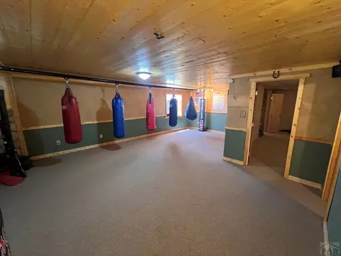 Other - 7937 Mount Baldy Dr, Rye, CO 81069 photo 7 of 12