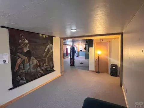 Other - 7937 Mount Baldy Dr, Rye, CO 81069 photo 4 of 12