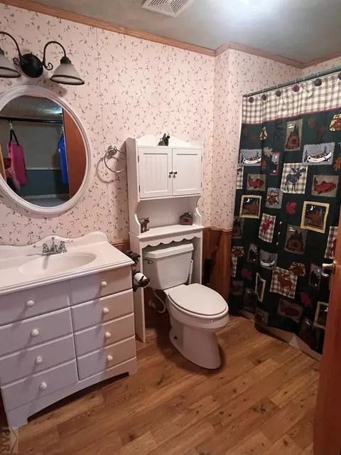 Bath - 7937 Mount Baldy Dr, Rye, CO 81069 photo 5 of 6