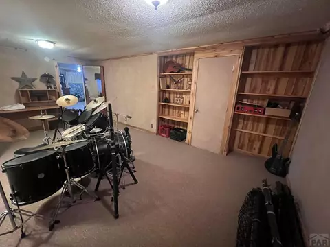 Other - 7937 Mount Baldy Dr, Rye, CO 81069 photo 10 of 12