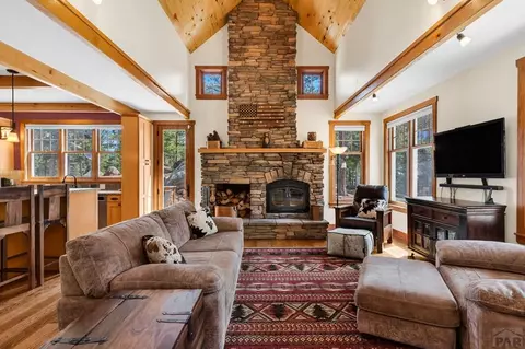 Living - 10 Robert Rd, Rye, CO 81069 photo 2 of 6
