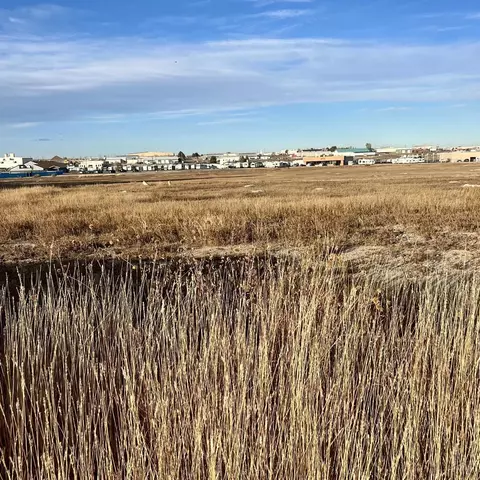 659 E Clarion Dr, Pueblo West, CO 81007