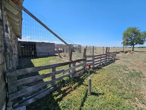 Exterior - 41061 County Rd 35, Wiley, CO 81092 photo 14 of 21