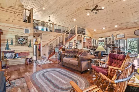 Living - 150 Julia Rd, Guffey, CO 80820 photo 2 of 4