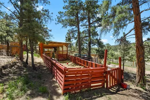 Exterior - 150 Julia Rd, Guffey, CO 80820 photo 8 of 11