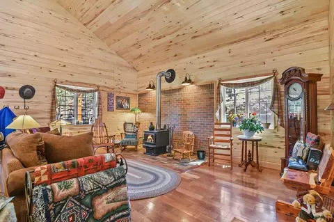 Living - 150 Julia Rd, Guffey, CO 80820 photo 4 of 4