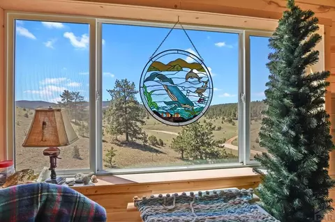 Other - 150 Julia Rd, Guffey, CO 80820 photo 9 of 15