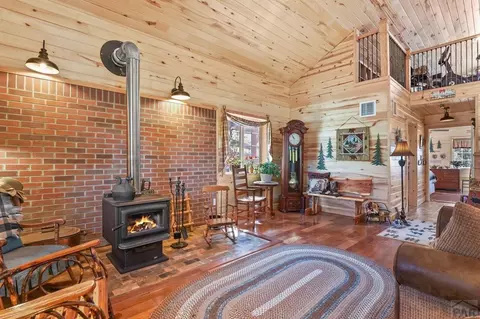 Living - 150 Julia Rd, Guffey, CO 80820 photo 3 of 4
