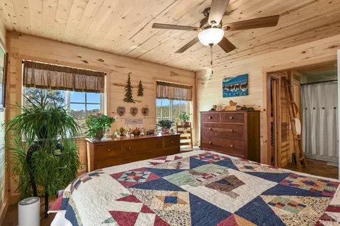 Bedroom - 150 Julia Rd, Guffey, CO 80820 photo 2 of 6