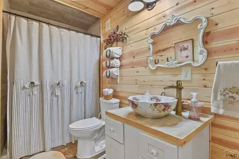 Bath - 150 Julia Rd, Guffey, CO 80820 photo 2 of 2