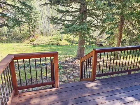 114 Silvercliffe, Rye, CO 81069 photo 6