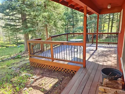 114 Silvercliffe, Rye, CO 81069 photo 5