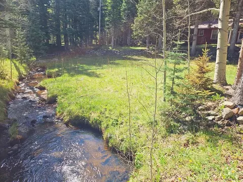 114 Silvercliffe, Rye, CO 81069 photo 3